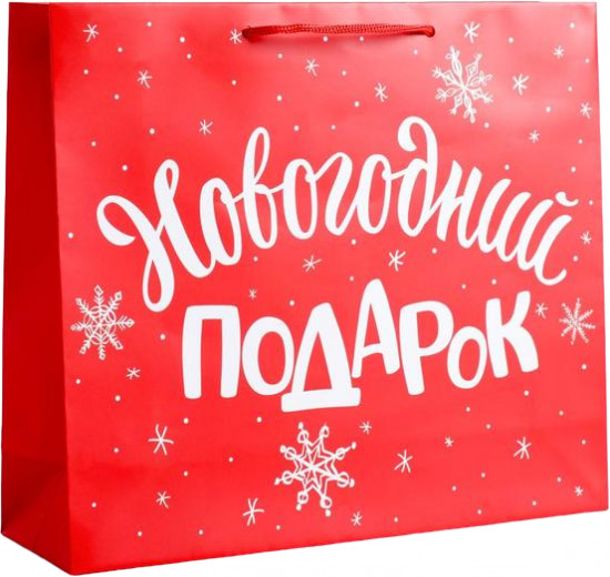 Пакет «Новогодний подарок»