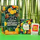 Чай черный со вкусом апельсина и корицы «25 кружек новогоднего настроения»