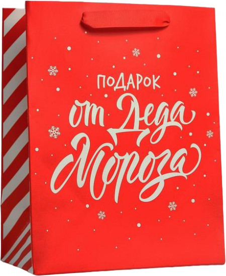 Пакет «Подарок от Деда Мороза»