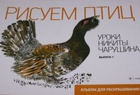 Уроки Никиты Чарушина. Выпуск 1. Рисуем птиц