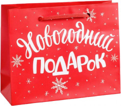 Пакет «Новогодний подарок»