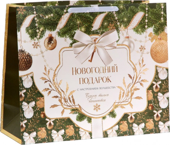 Пакет «Новогодний подарок»