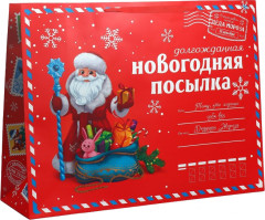 Пакет «НГ посылка»