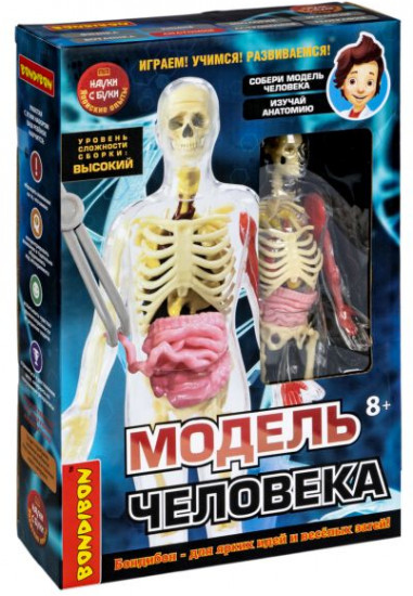 Набор для опытов «Модель человека»