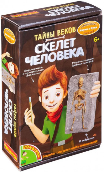 Набор для опытов «Скелет человека»