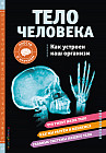 Тело человека. Как устроен наш организм