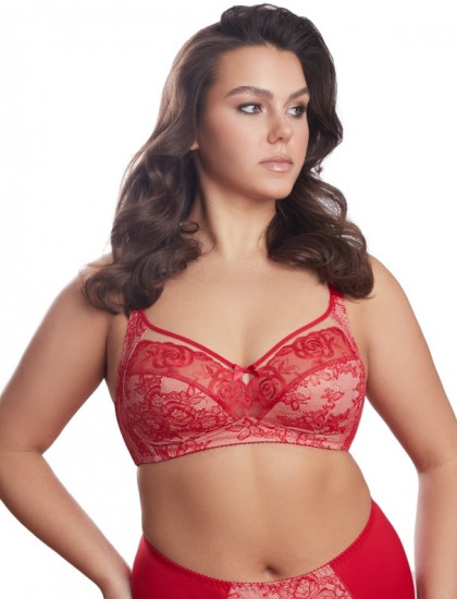 Бюстгальтер