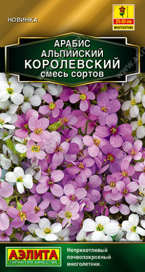 Арабис «Королевский»