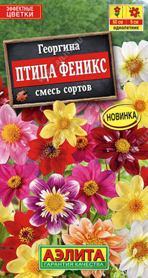 Георгина «Птица Феникс»