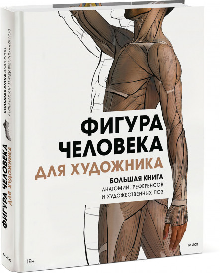 Фигура человека для художника