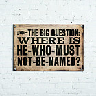 Постер «The big question»