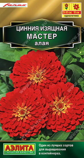 Цинния «Мастер алая»