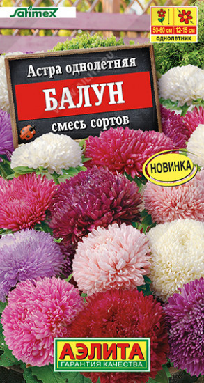Астра «Балун смесь сортов»