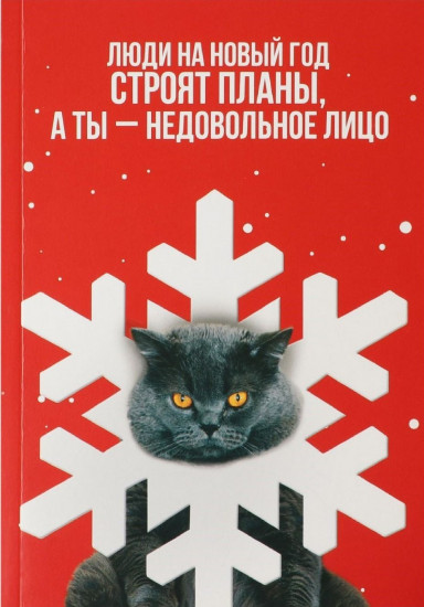 Ежедневник «Недовольное лицо»