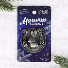 Магнит-талисман «Приношу удачу»