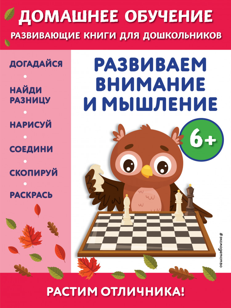 Развиваем внимание и мышление | Домашнее обучение. Развивающие книги для дошкольников