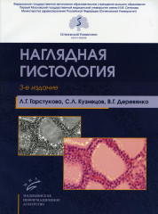 Наглядная гистология