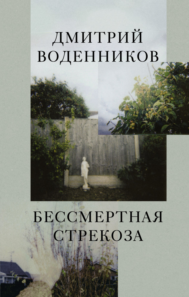 Бессмертная стрекоза | Уроки чтения