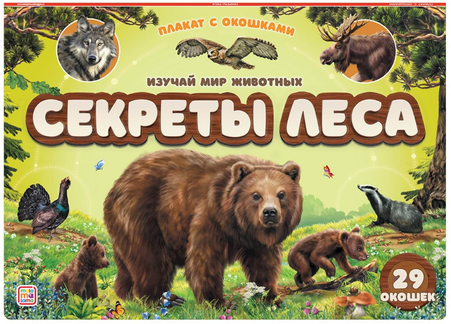 Плакат с окошками «Секреты леса» | Плакат с окошками