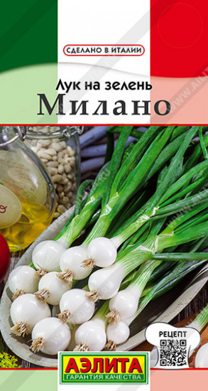 Лук на зелень «Милано»