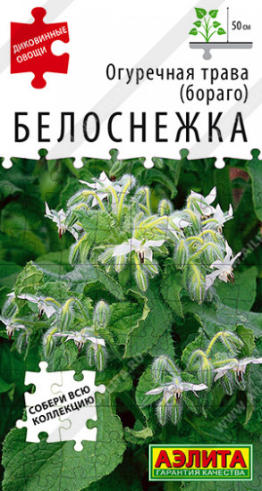 Трава огуречная «Белоснежка»