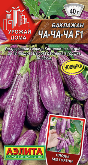 Баклажан «Ча-ча-ча»