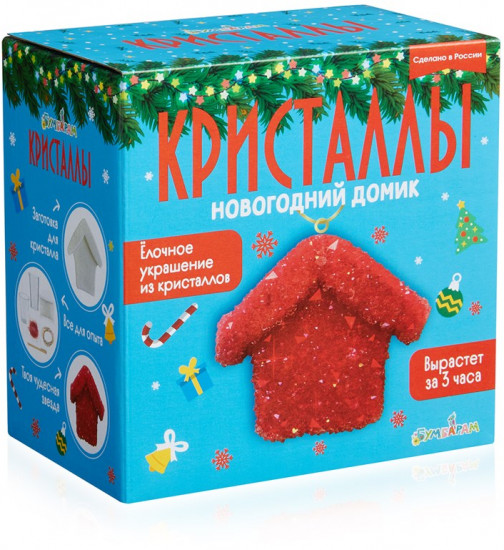 Набор для экспериментов «Новогодний домик»