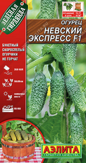 Огурец «Невский экспресс F1»