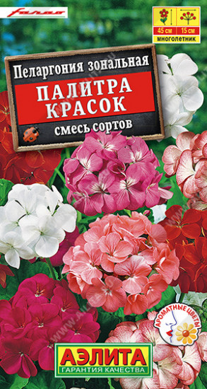 Пеларгония «Палитра красок»