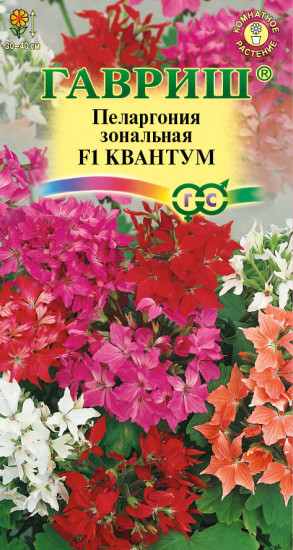 Пеларгония «Квантум F1»