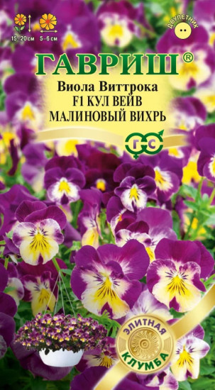 Виола Виттрока «Кул вейв малиновый вихрь F1»