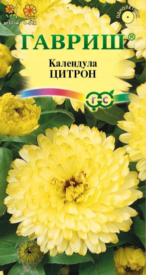 Календула «Цитрон»