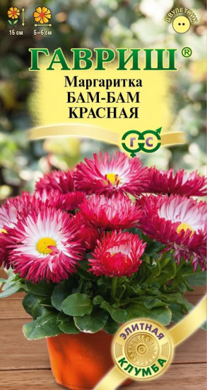 Маргаритка «Бам-бам красная»