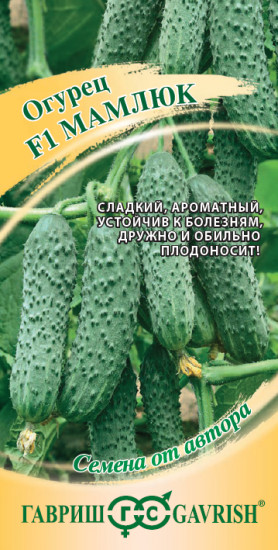Огурец «Мамлюк F1»