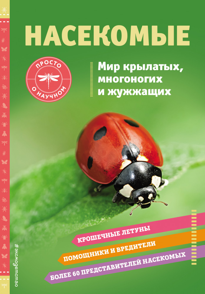 Насекомые. Мир крылатых, многоногих и жужжащих | Просто о научном