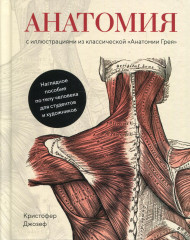 Анатомия с иллюстрациями