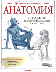 Анатомия