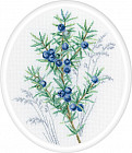 Набор для вышивания «Можжевельник»