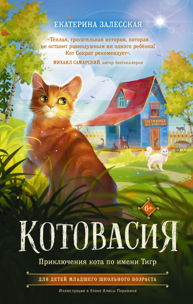 Котовасия. Приключения кота по имени Тигр | Котовасия. Истории о веселых зверятах