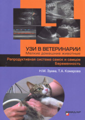 УЗИ в ветеринарии