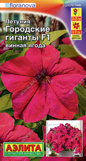 Петуния «Городские гиганты F1 винная ягода»