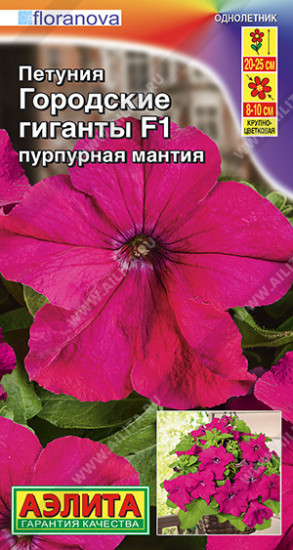 Петуния «Городские гиганты F1 пурпурная мантия»