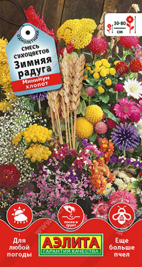 Смесь сухоцветов «Зимняя радуга»