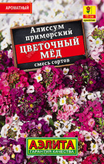 Алиссум «Цветочный мёд»