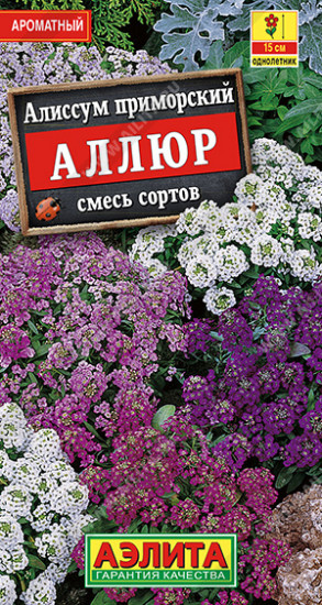 Алиссум «Аллюр»