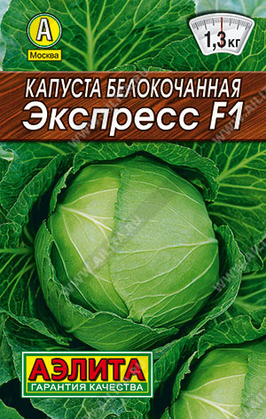 Капуста белокачанная «Экспресс F1»