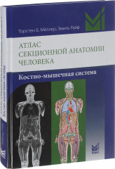 Атлас секционной анатомии человека