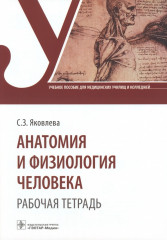 Анатомия и физиология человека
