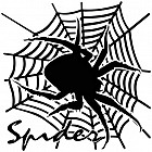 Наклейка на машину «Паук на паутине»