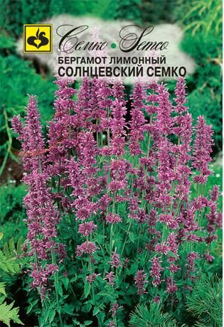 Бергамот лимонный «Солнцевский» | Семко Юниор